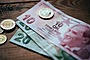 Turkish Lira Image